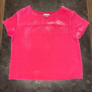 J-Crew Velvet Top 8